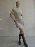 Women's Casual Wear Cozy Long Sleeves and High Neck Thick Knit Sweater Dress  by ihoov