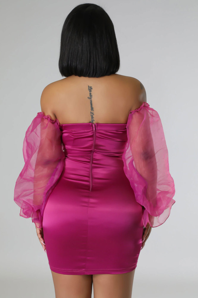 Sensual Bodycon Organza Sleeve Nightclub Mini Dress