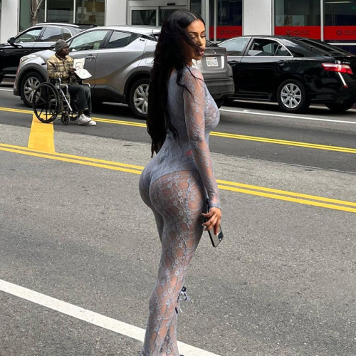 Sexy Sheer Long Sleeves Lace Bodycon women Jumpsuit
