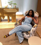 Sleeveless Casual Stretch Denim Two-Piece Set