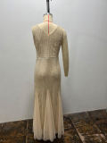 Chic and Seductive Mermaid Tail Bodycon Evening Gown
