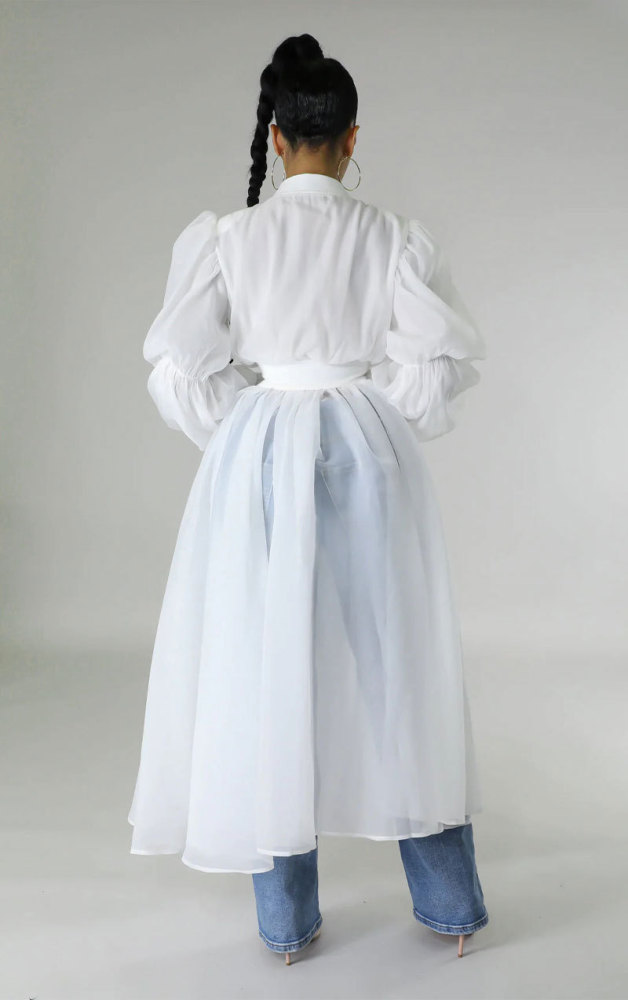 Fashion Solid Color Long Sleeve Chic Chiffon Dress