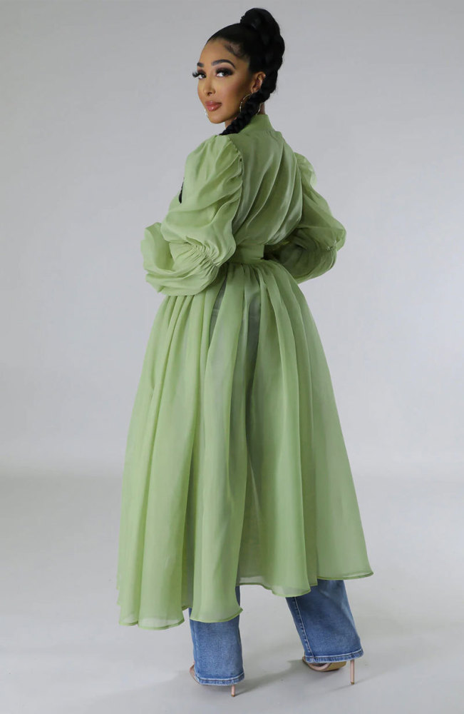 Fashion Solid Color Long Sleeve Chic Chiffon Dress