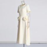 CSlimming and Elegant aptivating 3D Floral A-Line Dress