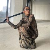 Animal Floral Crew Neck Hip Hop STREET Printed Long Sleeve Mesh maxi dress women