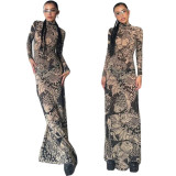 Animal Floral Crew Neck Hip Hop STREET Printed Long Sleeve Mesh maxi dress women