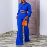IHOOV Chic Solid Color Collared Blouse and High-Waisted Flared Pants Set