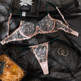 Ihoov Pink Embroidered Transparent Lace Underwire Bra Set