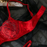 Ihoov Seductive Red Lace Embroidered Underwire Bra Set