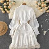 Lace-Trimmed Lantern Sleeve Dress with Ruffled Hem