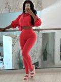 ihoov High-Waisted Cropped Top & Bodycon Pants Set