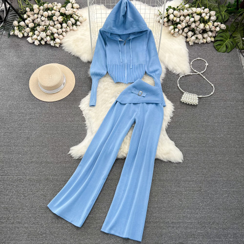 Slim-Fit Knit Hoodie & High-Waisted Wide-Leg Pants Set