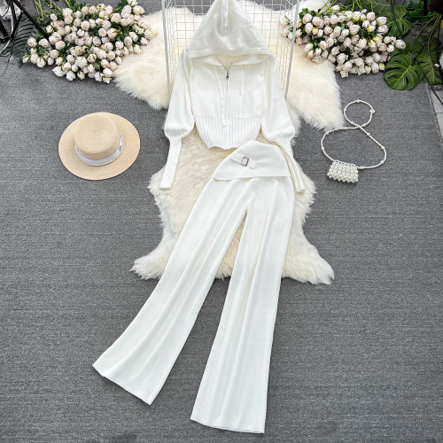 Slim-Fit Knit Hoodie & High-Waisted Wide-Leg Pants Set