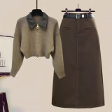 Knit Polo Collar Top & Midi Skirt Two-Piece Set