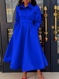 Solid Color Long Sleeve A-Line Dress
