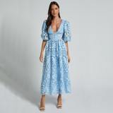 Lace Embroidered V-Neck Sexy Waist-Cut Dress