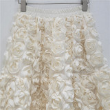 3D Floral High-Waisted A-Line Maxi Skirt