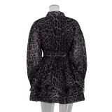 Leopard Print Chiffon Long Sleeve Dress with Flared Collar