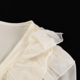 Ruffled Tie Waist V-Neck Long Sleeve A-Line Dress