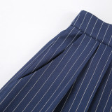 ihoov Navy Striped Wide-Leg Trousers for Women