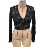 Solid Color Sheer Lace V-Neck Fitted Bell Sleeve Top
