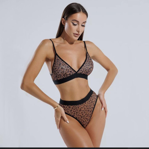 Wire-Free Leopard Print Mesh Sexy Lingerie Set