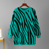 Round Neck Zebra Print Fashion Knit Pullover Sweater