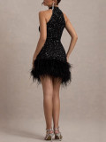 Sequins Sleeveless Bodycon Shimmer Plush Dress