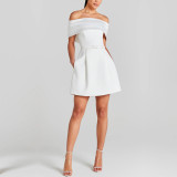 Lavender Sleeveless Chic Mini Dress women's skirts