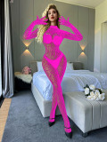 Closed Crotch Sheer Fishnet Long Sleeve Bodysuit