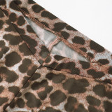 Leopard Print Sheer Mesh Long Sleeve Cover-Up Set