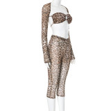 Leopard Print Sheer Mesh Long Sleeve Cover-Up Set