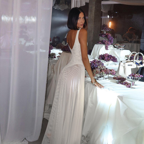 Women Sexy Mesh Dress