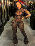Leopard Print Two-Piece Set