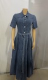 Button-Down Denim Dress with Belted Waist