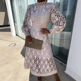 Lace Stand Collar Puff Sleeve Dress with Waist-Cinching