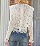 Lace Trim Long Sleeve Sheer Top