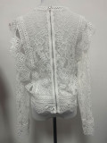 Lace Trim Long Sleeve Sheer Top