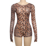 Color-Blocked Leopard Print Backless Bell Sleeve Bodysuit