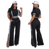 Women's Trendy Wide-Leg Loose Casual Trousers Short Sleeve Crop Top Two-Piece Set