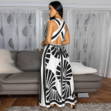 Sexy Deep V-Neck Sleeveless Bohemian Printed Dress for Women