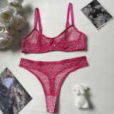Ihoov Sexy Leopard Print French Lace Bra & Sheer Mesh Lingerie Set
