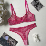Ihoov Sexy Leopard Print French Lace Bra & Sheer Mesh Lingerie Set