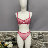 Ihoov Sexy Leopard Print French Lace Bra & Sheer Mesh Lingerie Set