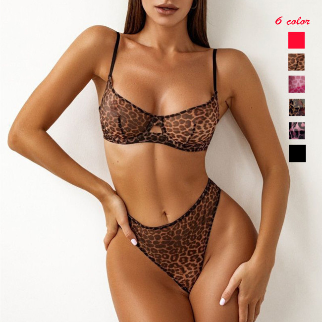 Ihoov Sexy Leopard Print French Lace Bra & Sheer Mesh Lingerie Set