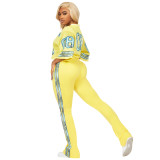 Chic V-Neck Mesh Pocket Tie-Waist Flared Two-Piece Set
