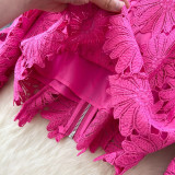 Lace Hollow-Out Short Flared Sleeve Shirt & High-Waisted Skirt Set for Women