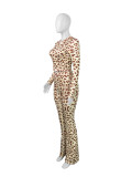 Sexy Leopard Print Hooded Two-Piece Set
