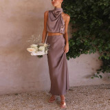 Satin Slim Fit Casual Two-Piece Set