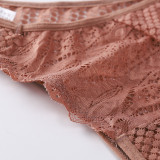 Women's Transparent Lace Hollow Triangle Panties